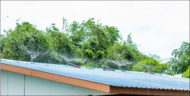 bushfire sprinklers