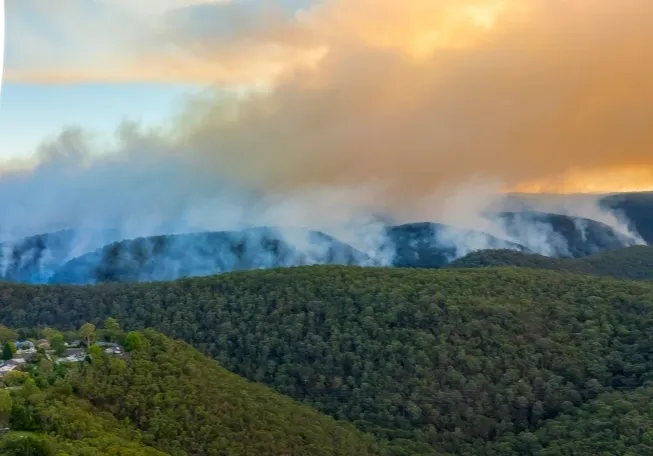 Understanding Bushfire Attack Level (BAL)